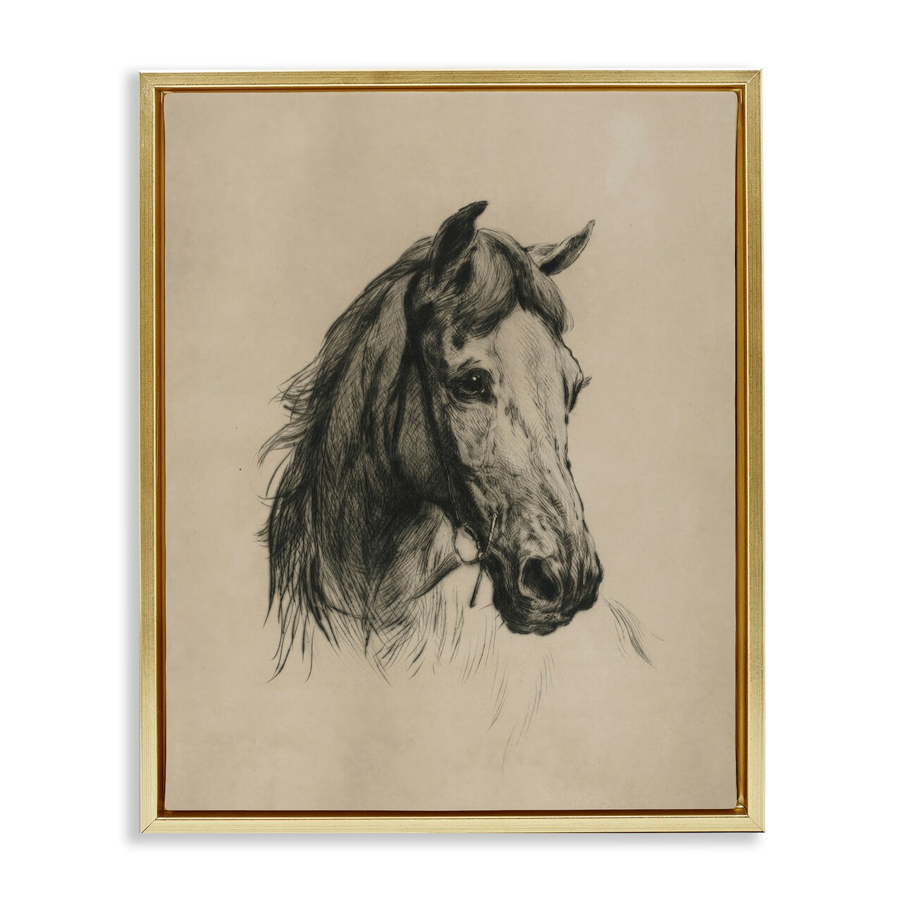 Stupell Industries Charcoal Horse Portrait Floating Frame By Arlington Prints